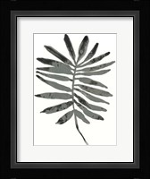Foliage Fossil VII Framed Print