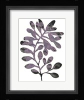 Foliage Fossil VIII Framed Print