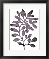 Foliage Fossil VIII Framed Print