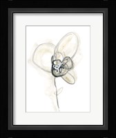 Monochrome Floral Study I Framed Print