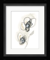 Monochrome Floral Study II Framed Print