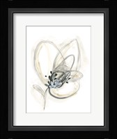 Monochrome Floral Study V Framed Print