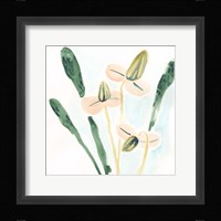 Garden Essence I Framed Print