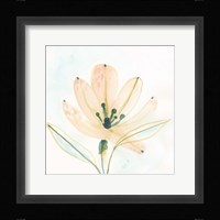 Garden Essence VI Framed Print