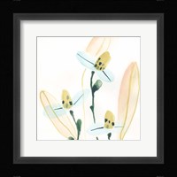 Garden Essence VII Framed Print