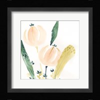 Garden Essence VIII Framed Print