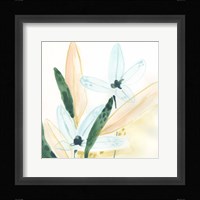 Garden Essence IX Framed Print