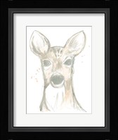 Deer Cameo II Framed Print