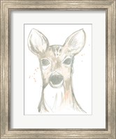 Deer Cameo II Fine Art Print