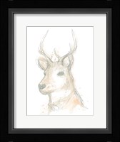 Deer Cameo III Framed Print