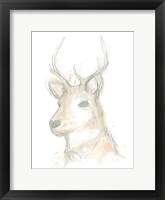 Deer Cameo III Fine Art Print