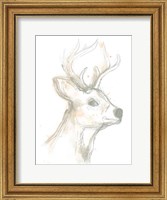 Deer Cameo IV Fine Art Print
