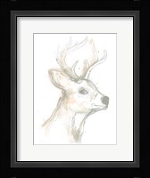 Deer Cameo IV Framed Print