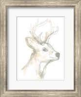 Deer Cameo IV Fine Art Print
