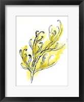 Citron Sea Kelp III Framed Print
