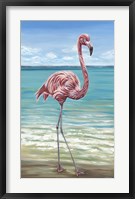Beach Walker Flamingo I Fine Art Print