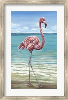 Beach Walker Flamingo I Fine Art Print