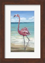 Beach Walker Flamingo II Fine Art Print