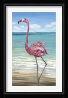 Beach Walker Flamingo II Framed Print