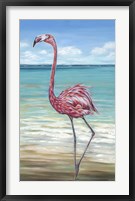 Beach Walker Flamingo II Framed Print