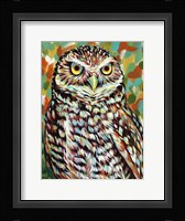 Fury Feather Friends II Framed Print
