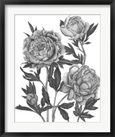 Flowers in Grey V Fine Art Print