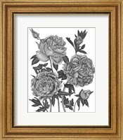 Flowers in Grey VI Fine Art Print