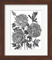 Flowers in Grey VI Fine Art Print
