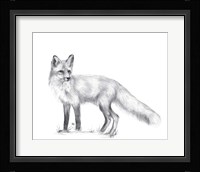 Wildlife Trail I Framed Print