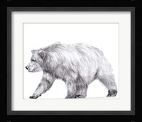 Wildlife Trail III Framed Print