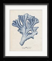 Sea Coral Study I Framed Print