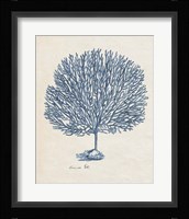 Sea Coral Study III Framed Print