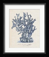 Sea Coral Study IV Framed Print