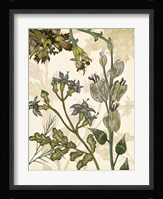 Enchanted I Framed Print