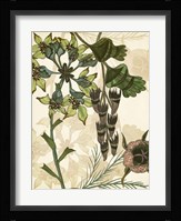 Enchanted II Framed Print