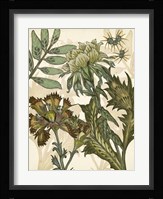 Enchanted III Framed Print