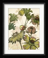 Enchanted IV Fine Art Print