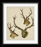 Wild World I Framed Print