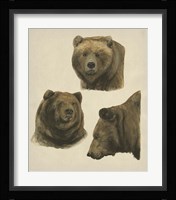 Wild World IV Framed Print