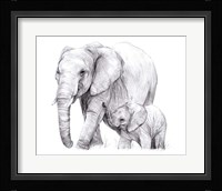 New Beginnings I Framed Print