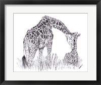 New Beginnings II Framed Print