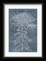 Indigo Dance I Framed Print