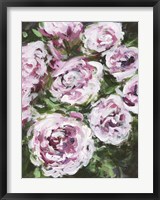 Rose Rhapsody I Fine Art Print