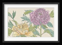 Peony Blooms III Framed Print