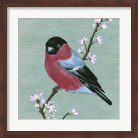 Bird & Blossoms I Fine Art Print