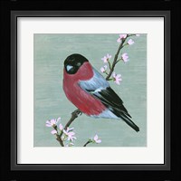Bird & Blossoms I Framed Print