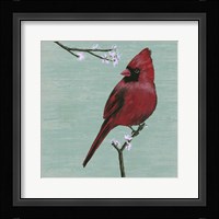 Bird & Blossoms II Framed Print