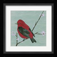 Bird & Blossoms III Framed Print