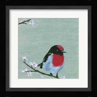 Bird & Blossoms IV Framed Print