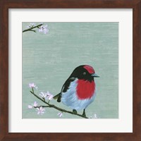 Bird & Blossoms IV Fine Art Print
